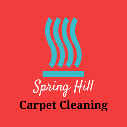 The logo for Spring Hill Carpet Cleaning is a teal blue wave of steam on a red background